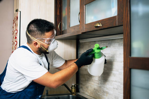 Best Wasp Removal Services  in Macon, MS