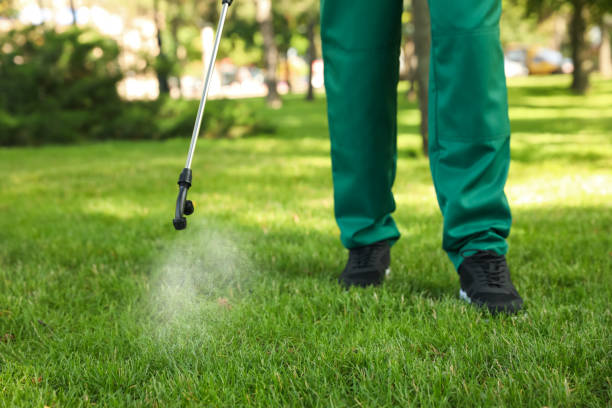 Best Exterminator Services  in Macon, MS