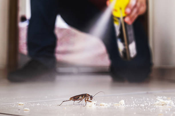 Best Pest Control Near Me in Macon, MS