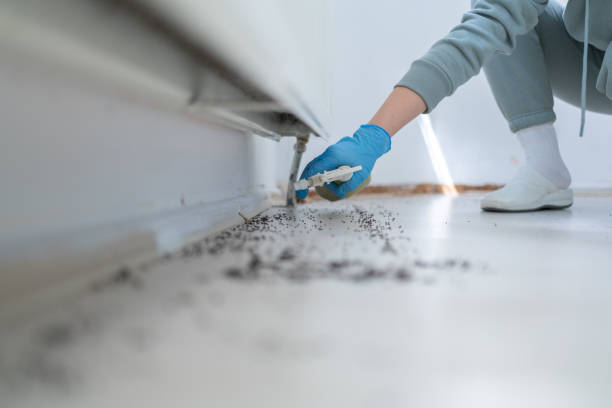 Best Affordable Pest Control Services  in Macon, MS